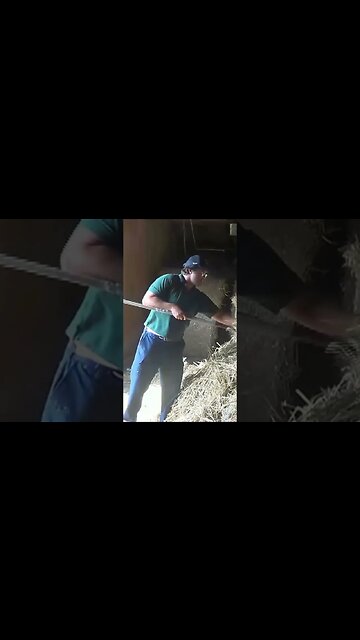 Cleaning Up DIRTY hay beer cans #shorts #comedy