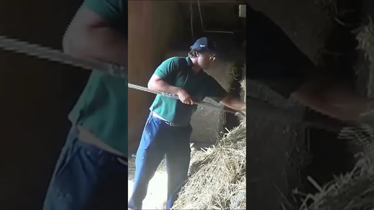 Cleaning Up DIRTY hay beer cans #shorts #comedy