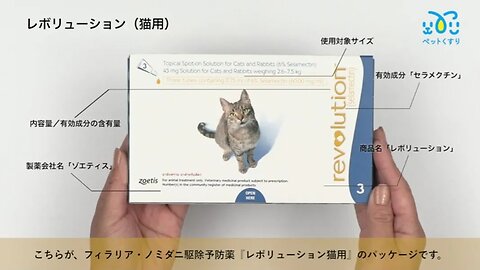 レボリューション猫用