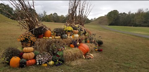 Pinson Mounds Tennessee