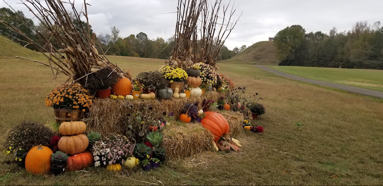 Pinson Mounds Tennessee