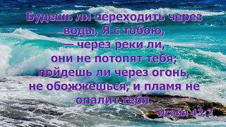 Обращение!