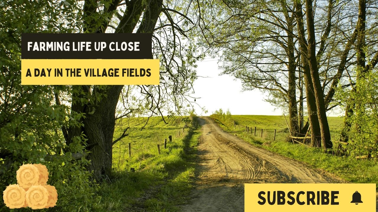 Farming Life Up Close: A Day in the Village Fields | Village Vibes