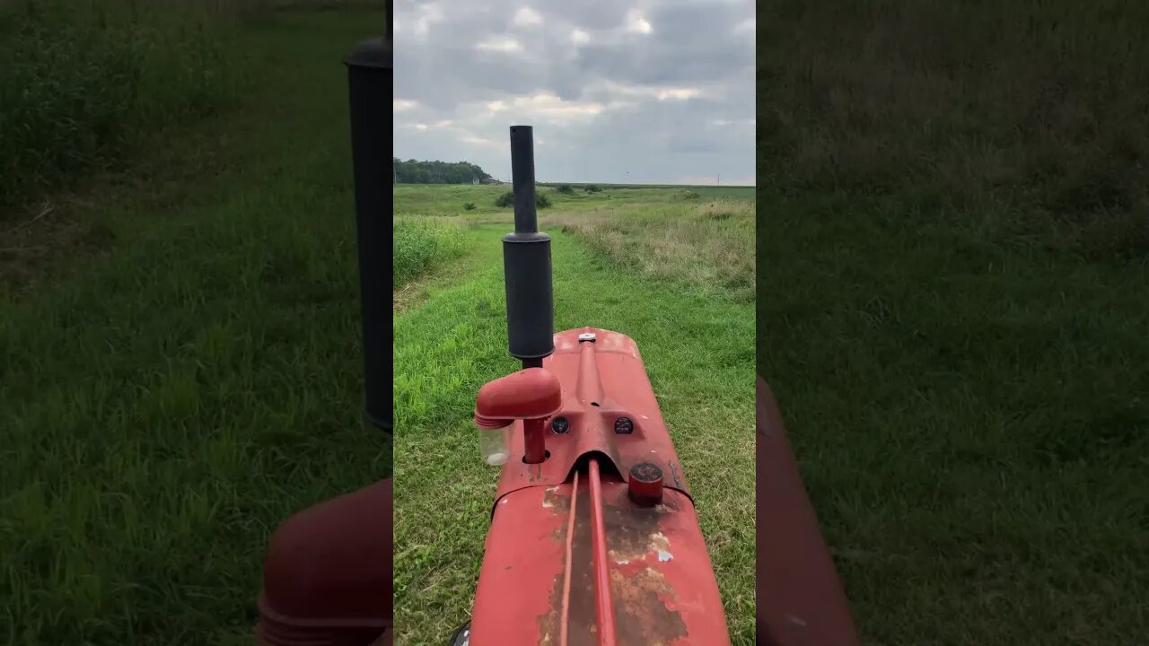 Farmall H mowing on the Grumpy farmstead.