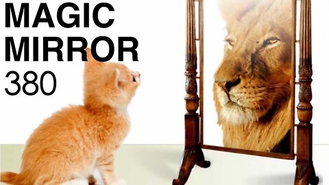 Magic Mirror 380 - Green Fuel