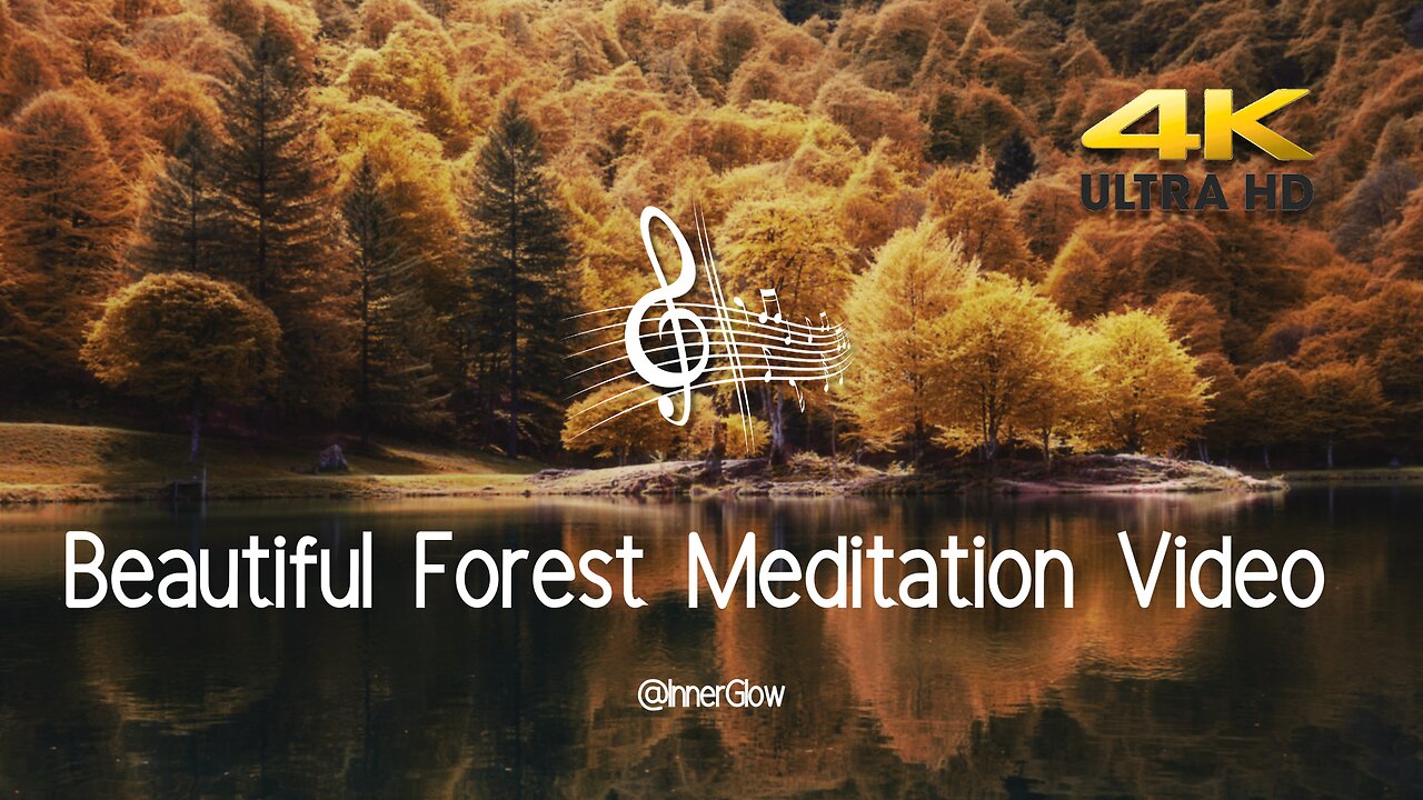 4K Forest Meditation Music Video with Calming Nature Sounds & Stunning Visuals 🌲💖