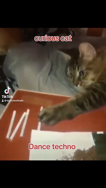 Techno cat