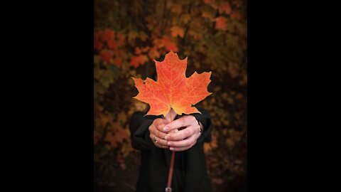 Ode to Thee,My Canada