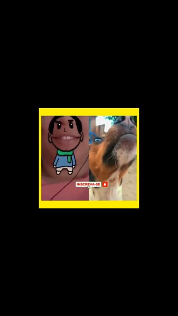 EU NÃO 🤣🤣🤣