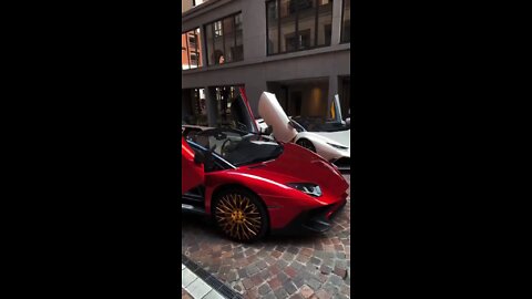 Lamborghini Wave