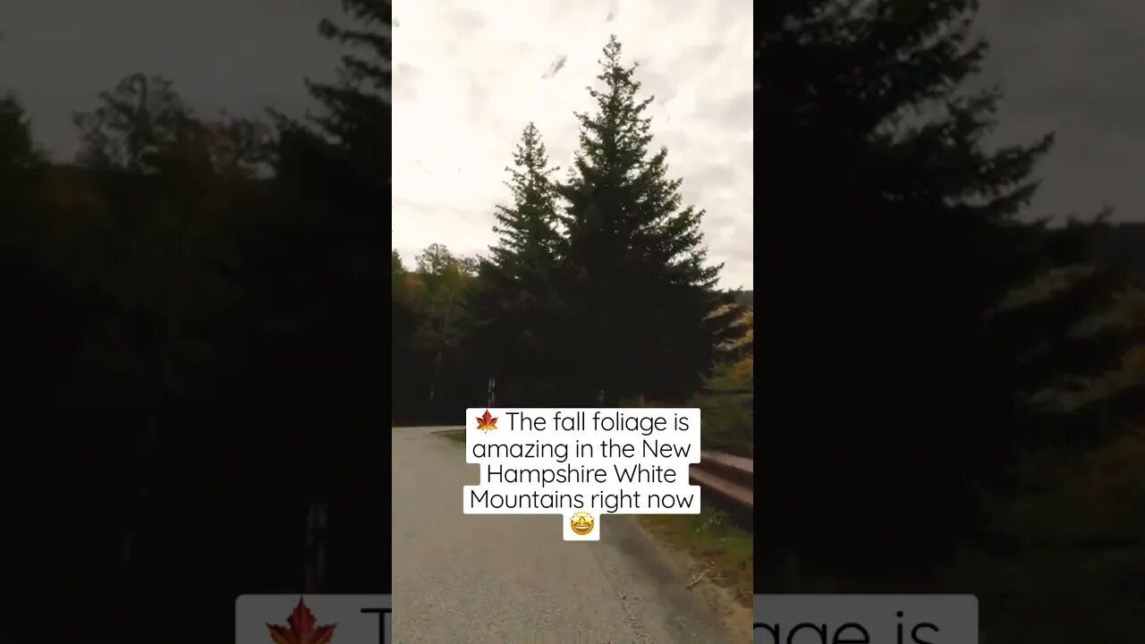 Fall foliage in Franconia Notch New Hampshire Oct. 5, 2022 #shorts Relaxing bike ride video, workout