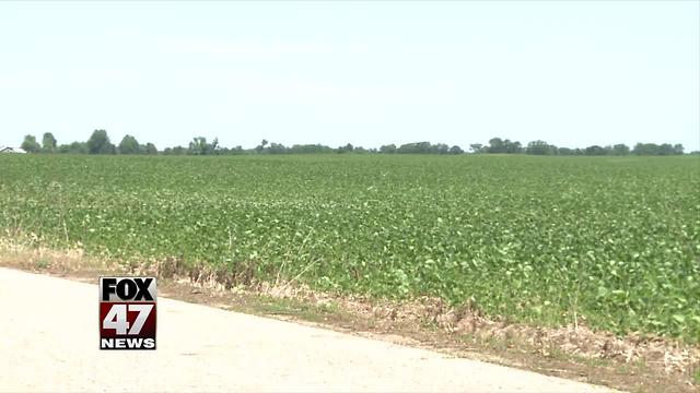 People fighting proposed hog-feed operation in mid-Michigan