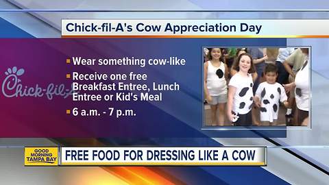 Get free chicken for Cow Appreciation Day at Chick-fil-A