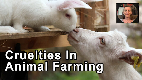Inherent Cruelties In All Animal Farming That Cannot Be Avoided A Feel-Good Label - Hope Bohanec