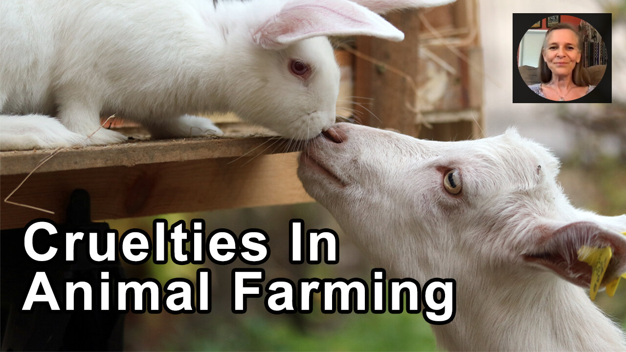 Inherent Cruelties In All Animal Farming That Cannot Be Avoided A Feel-Good Label - Hope Bohanec