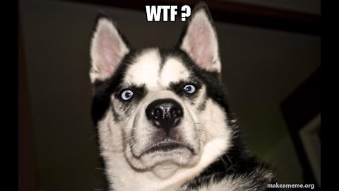 OMG Today I have to admit I was wrong about something!