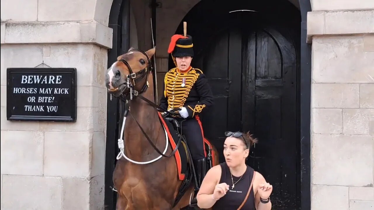 Female Kings guard charges horse at tourist that don't listen STAND CLEAR #horseguardsparade