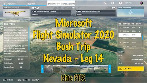 MSFS2020 Multiplayer Bush Trip Nevada Leg 14