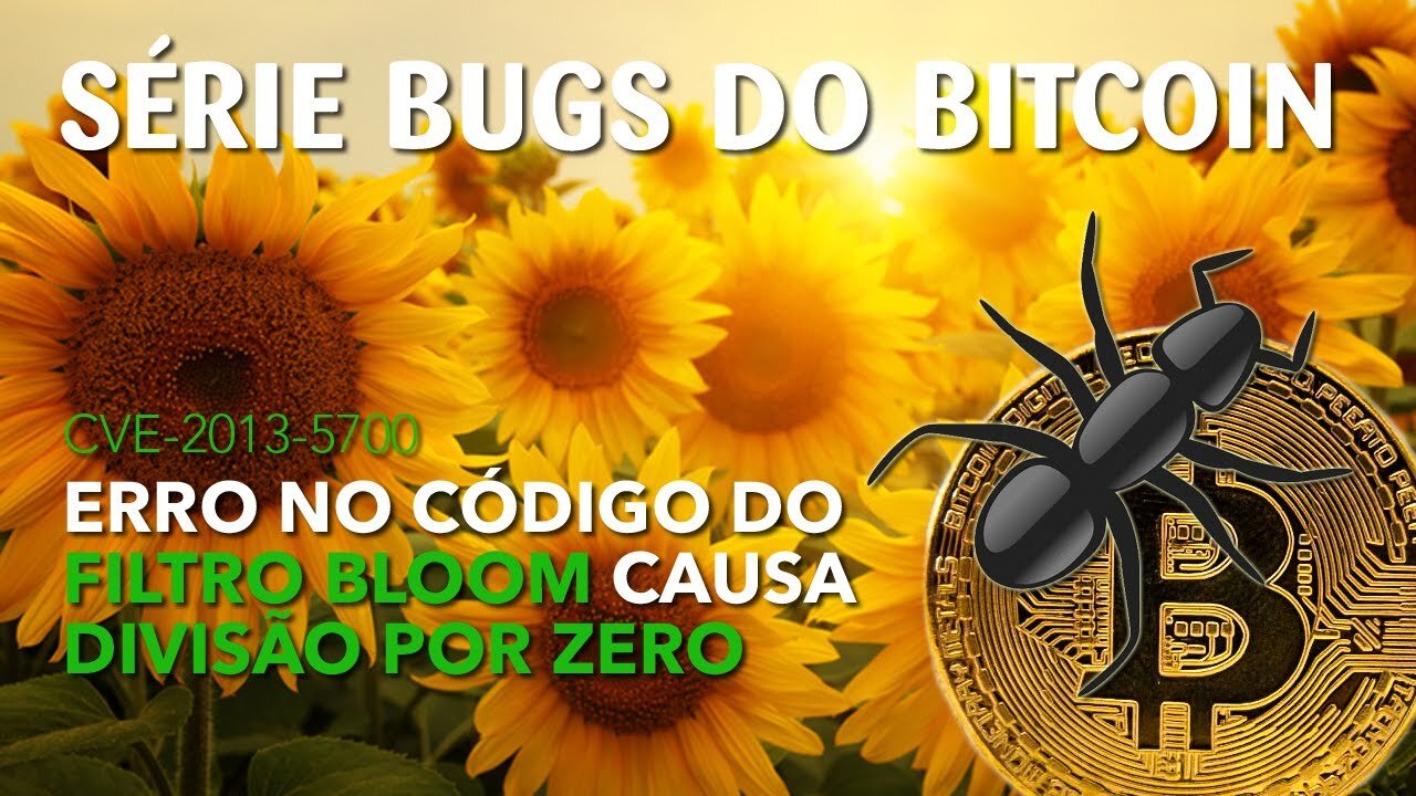 CVE-2013-5700 - Implementação errada do filtro Bloom causa divisão por zero e crash do cliente