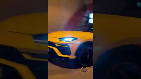 Luxury Cars, Luxury Lifestyle | THE BULL #shorts #luxury #car