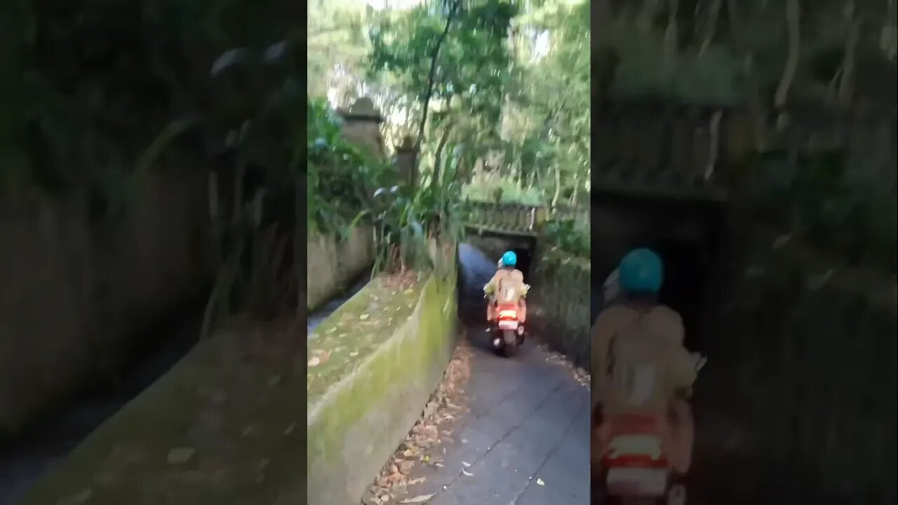 Monkey Forest Shortcut. Ubud, Bali Indonesia