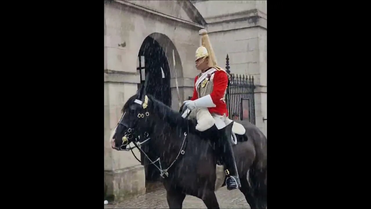 Heavy rein fall changing of the guard #horseguardsparade