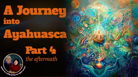 A journey into Ayahuasca - what did we learn from it