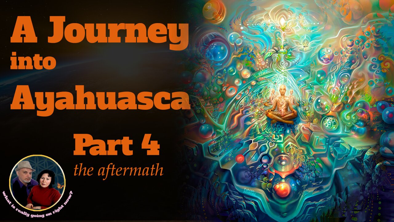 A journey into Ayahuasca - what did we learn from it