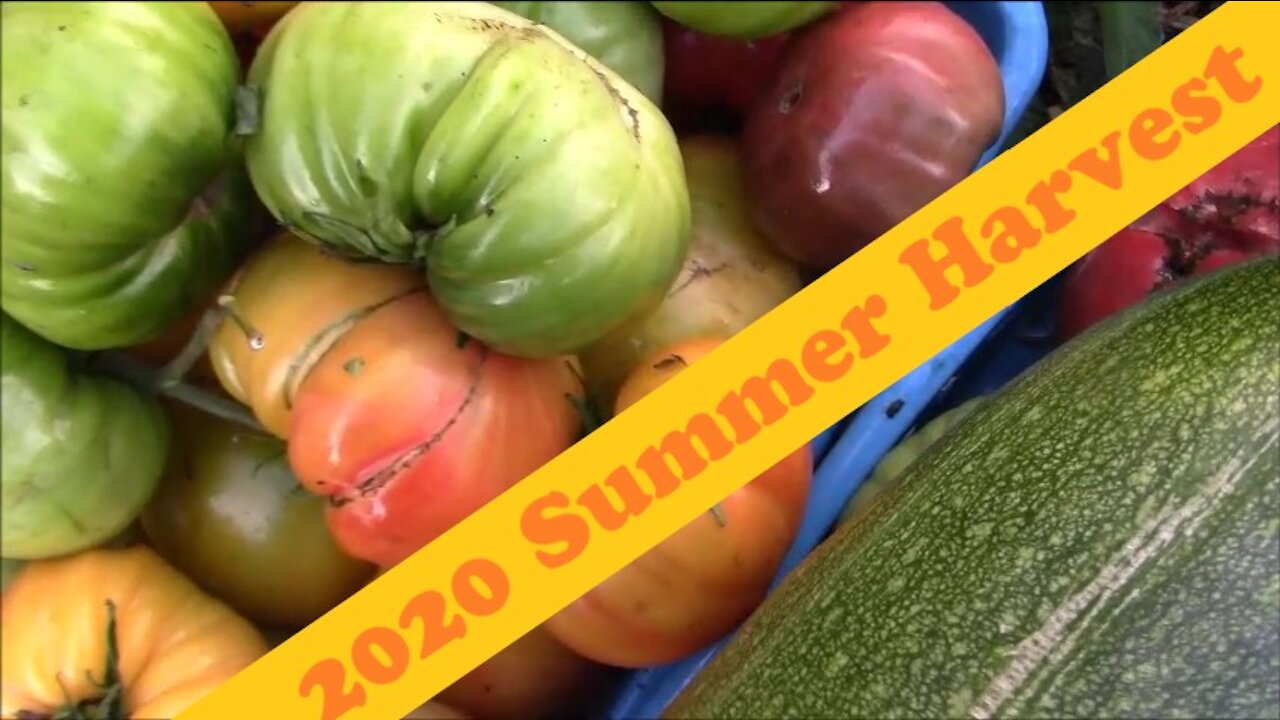 2020 Summer Garden Harvest