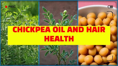 How Often Should You Use Chickpea Oil on Your Hair