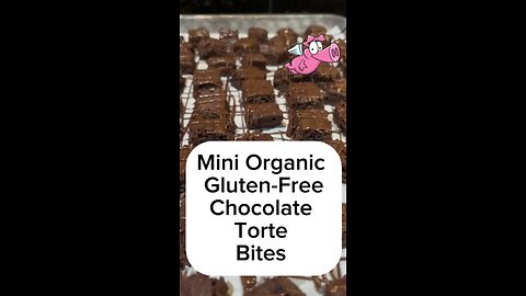 Yum. Chocolate Organic Gluten Free Mini Tortes