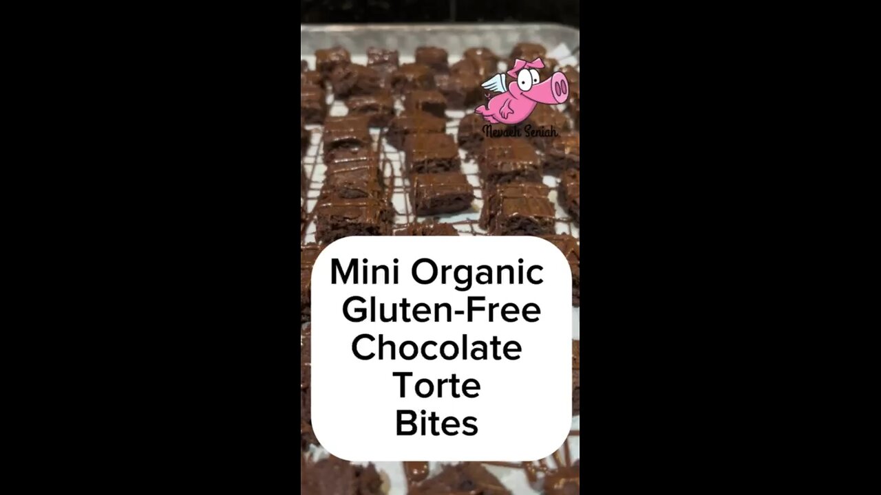 Yum. Chocolate Organic Gluten Free Mini Tortes