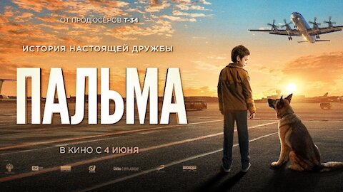 Пальма 2021.Обзор фильма