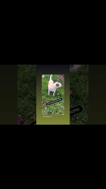 It's a Beautiful Morning