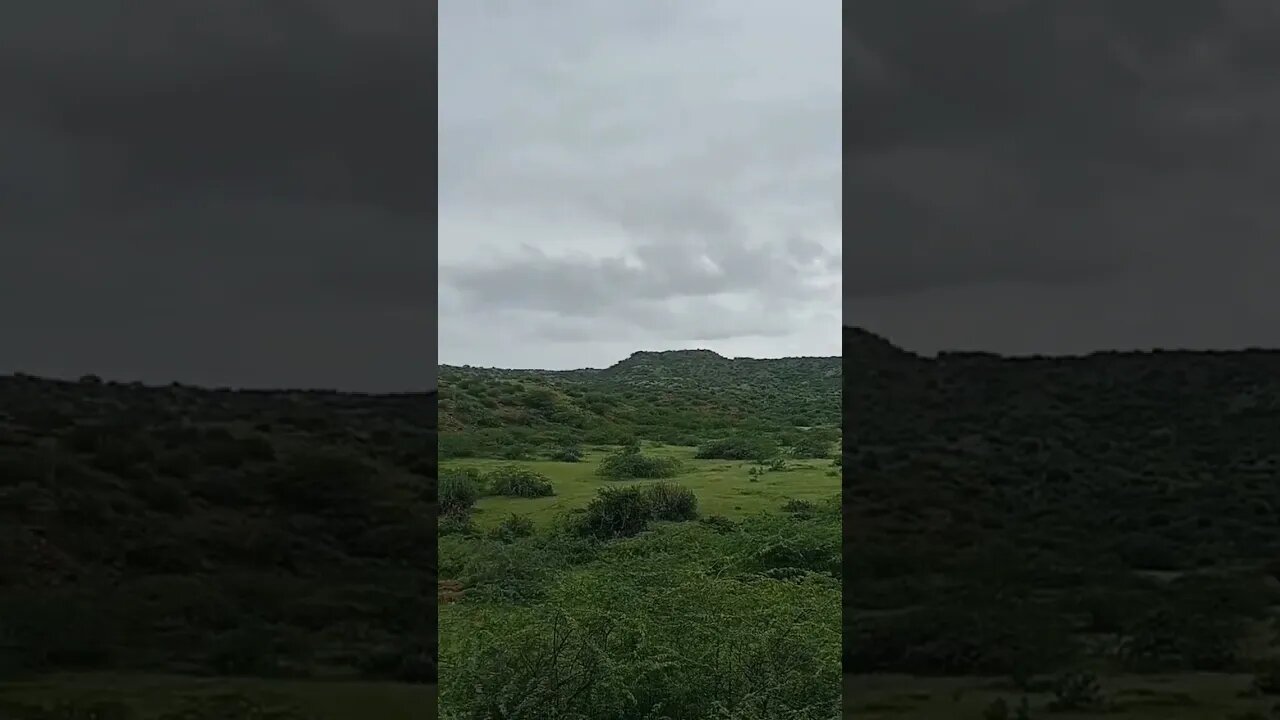 mulak vatho thar saai