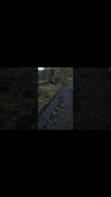 Snow Day (the snow melted)