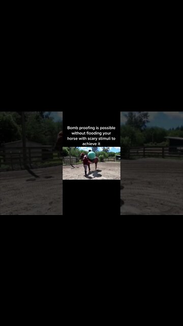 Desensitizing A Horse