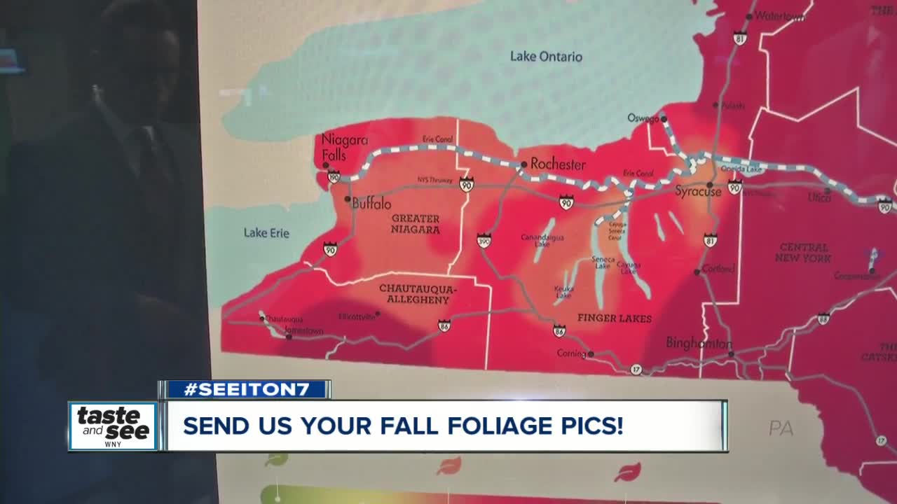 Send us your fall foliage pics!