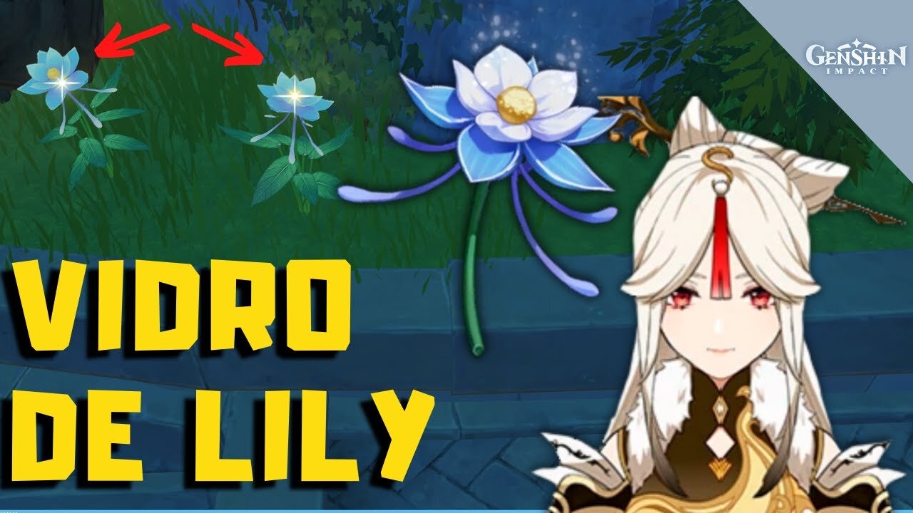 Rota de farm de Vidro de Lily (Glaze Lily) - Genshin Impact