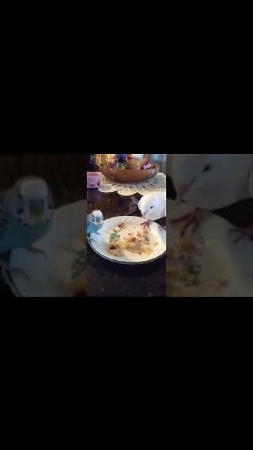 Bebe and Annie sharing Banana Bread