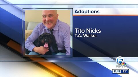 Wag Your Tail Wednesday