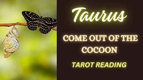 TAURUS ~ COME OUT OF THE COCOON #TAROT #READING