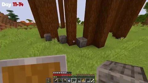 We Survived 100 Days In DUO Hardcore Minecraft ## 15