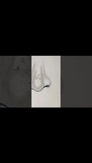 Realistic Nose Drawing