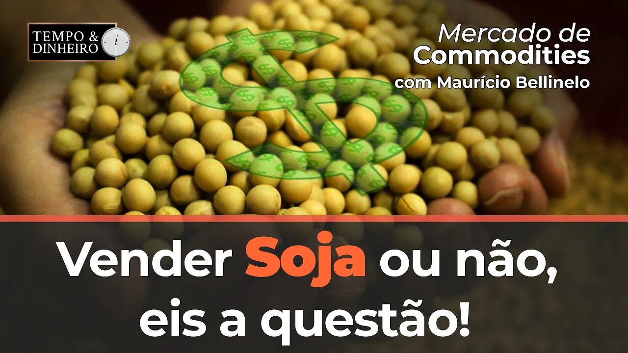 Soja tem forte pressão da safra. Vender ou não, eis a questão!