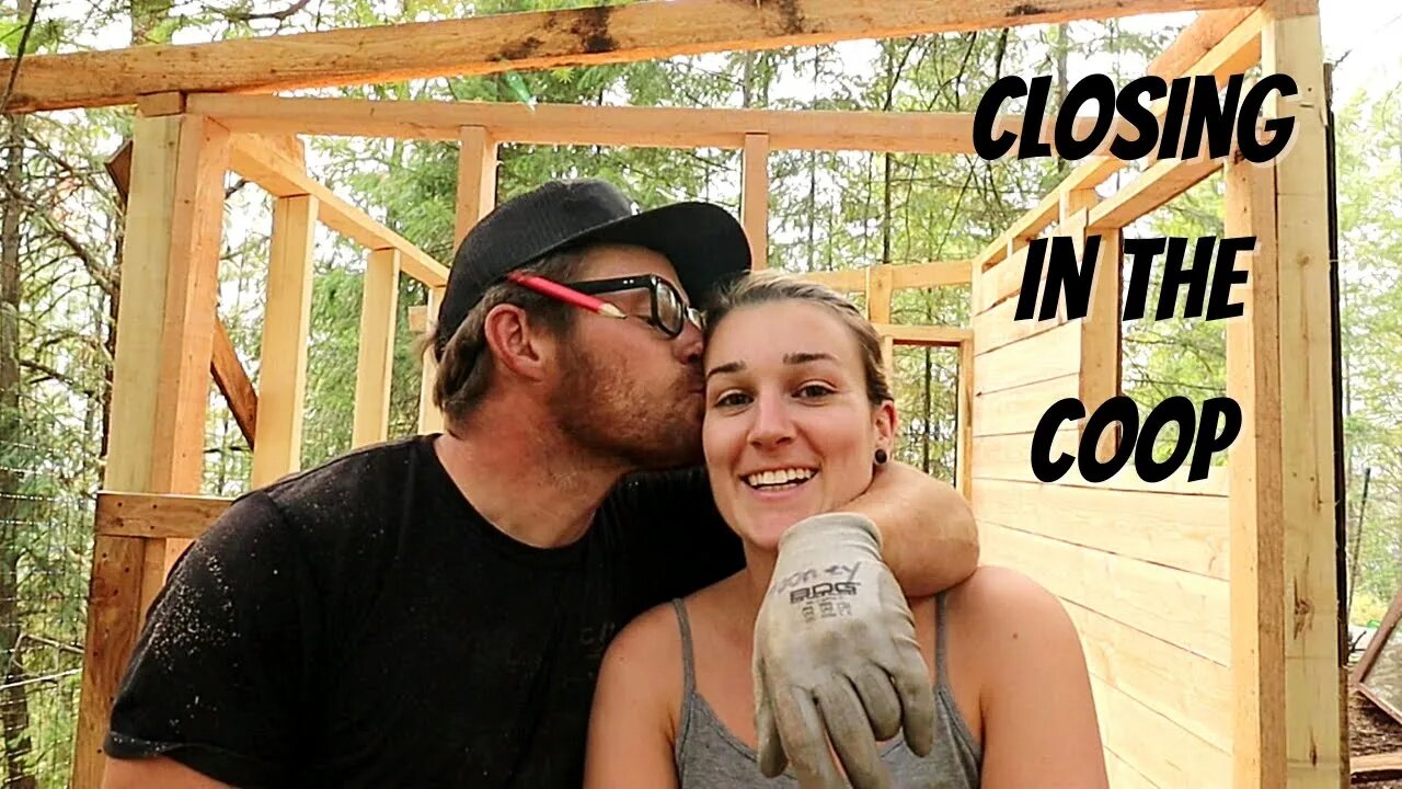 Closing In The New Chicken Coop | Solid Chicken Coop Build