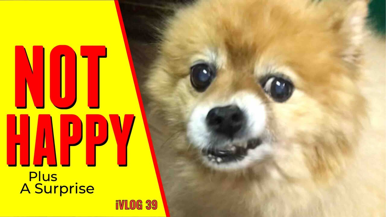 Not Happy Plus A Surprise - VLOG 39