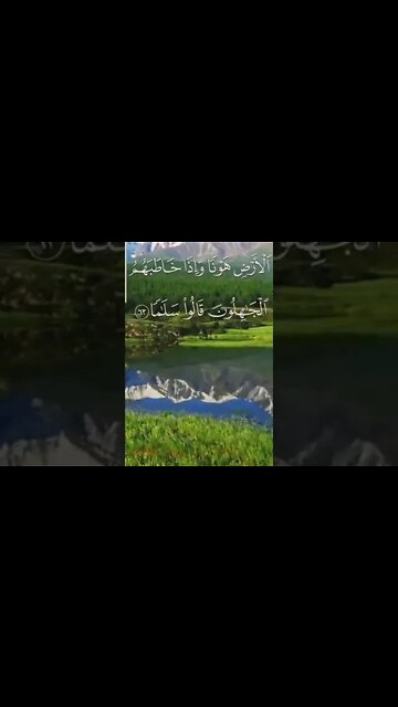 great words 💓💯💯💯👍💞❣️⭐💫💔💌💟🌟💕😂🤣