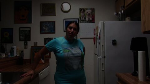 Opening The Irina The Cat In The San Bernardino Mountains Shirt