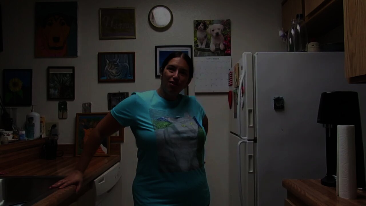 Opening The Irina The Cat In The San Bernardino Mountains Shirt